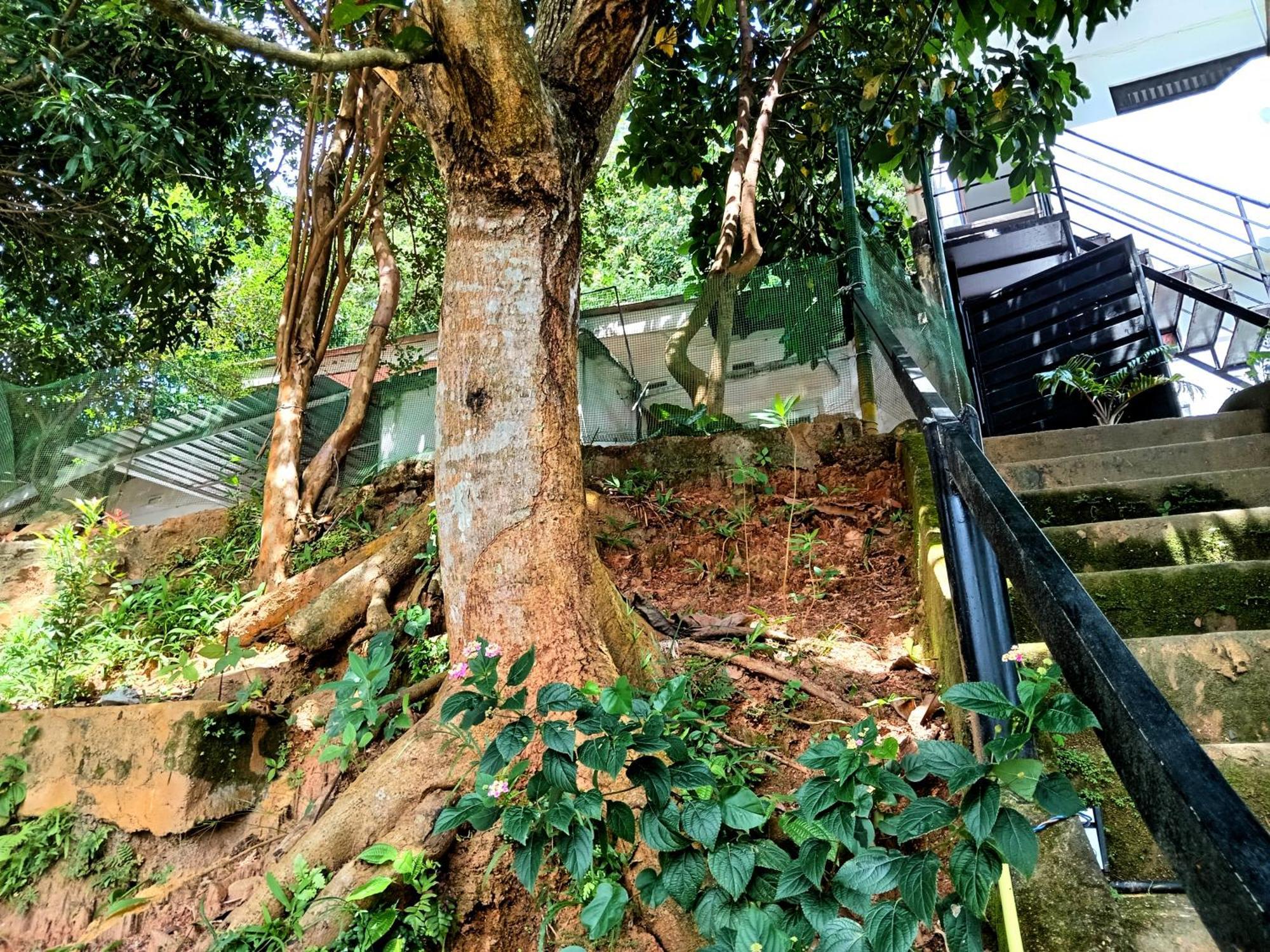 Fly Infinity - Home Stay แคนดี้ ภายนอก รูปภาพ