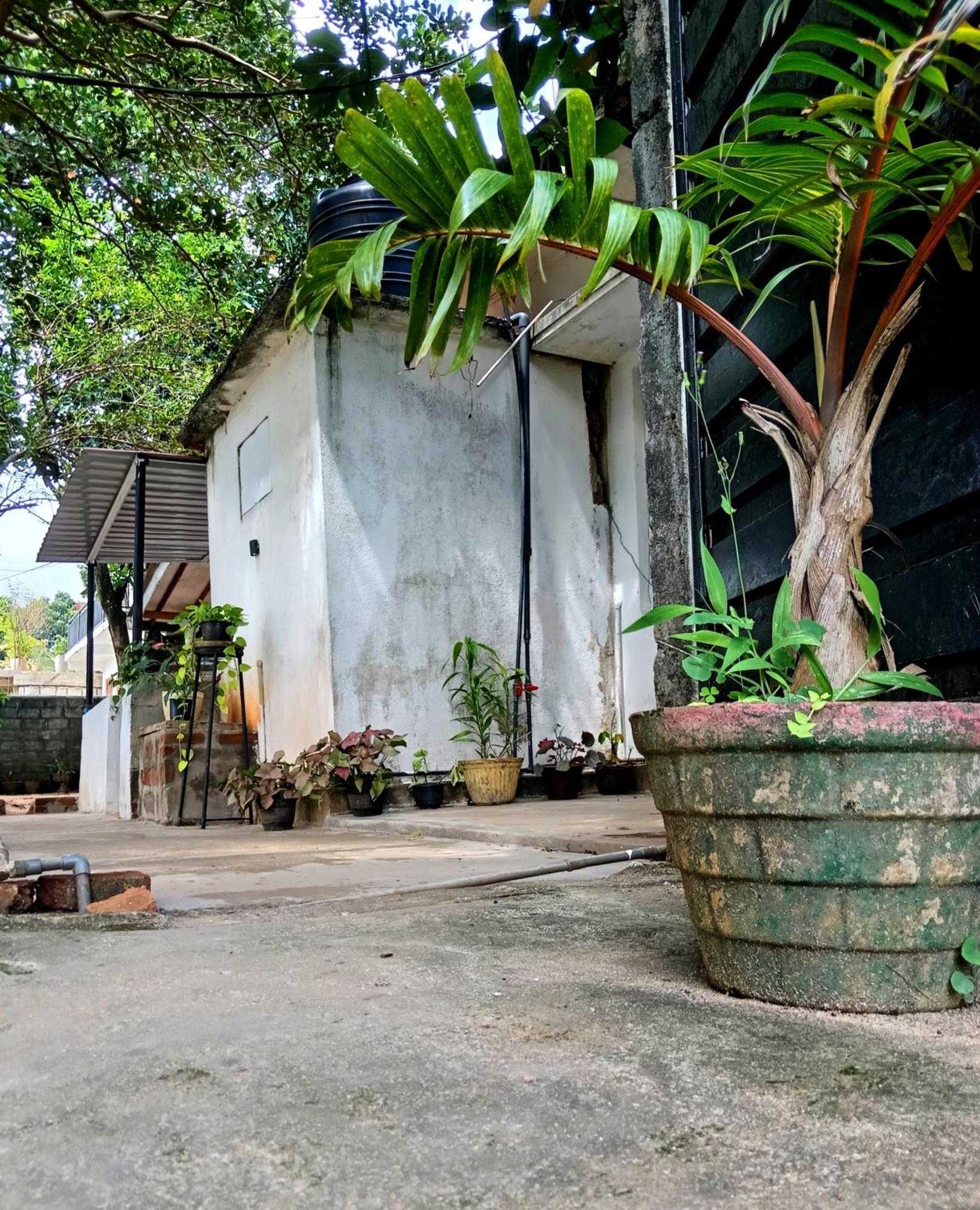Fly Infinity - Home Stay แคนดี้ ภายนอก รูปภาพ