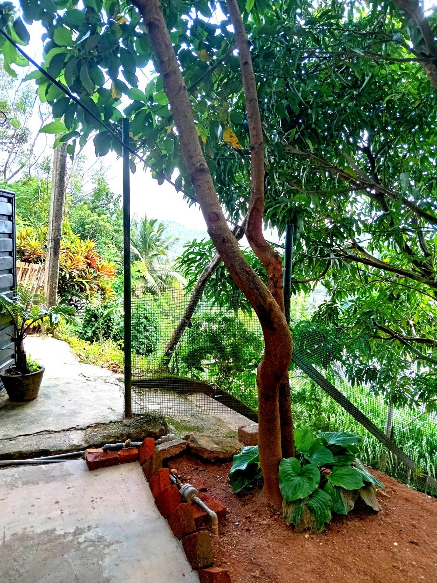 Fly Infinity - Home Stay แคนดี้ ภายนอก รูปภาพ